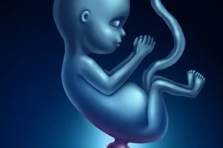 Spina Bifida Nedenleri